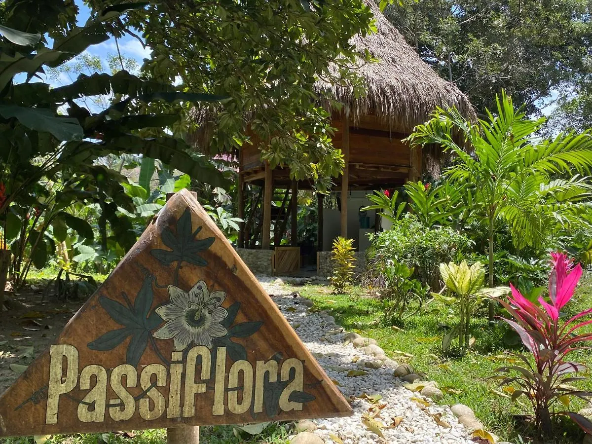 Hotel Salvia Madre Santa Marta
