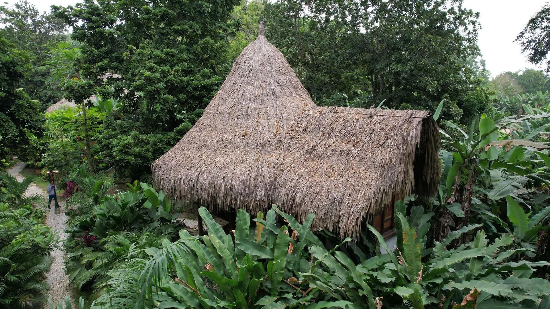 Hotel Salvia Madre Santa Marta  Colombia