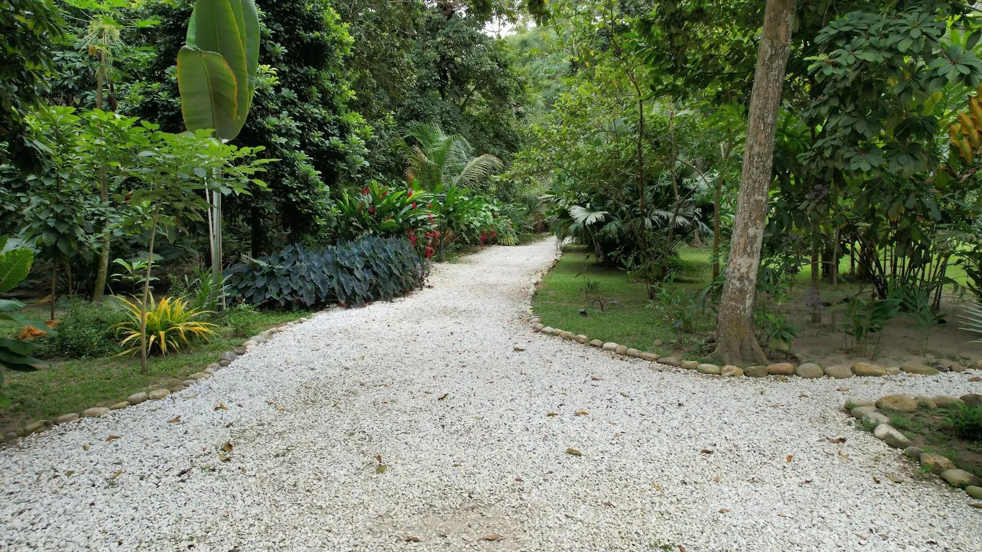 Hotel Salvia Madre Santa Marta  Santa Marta (Magdalena)
