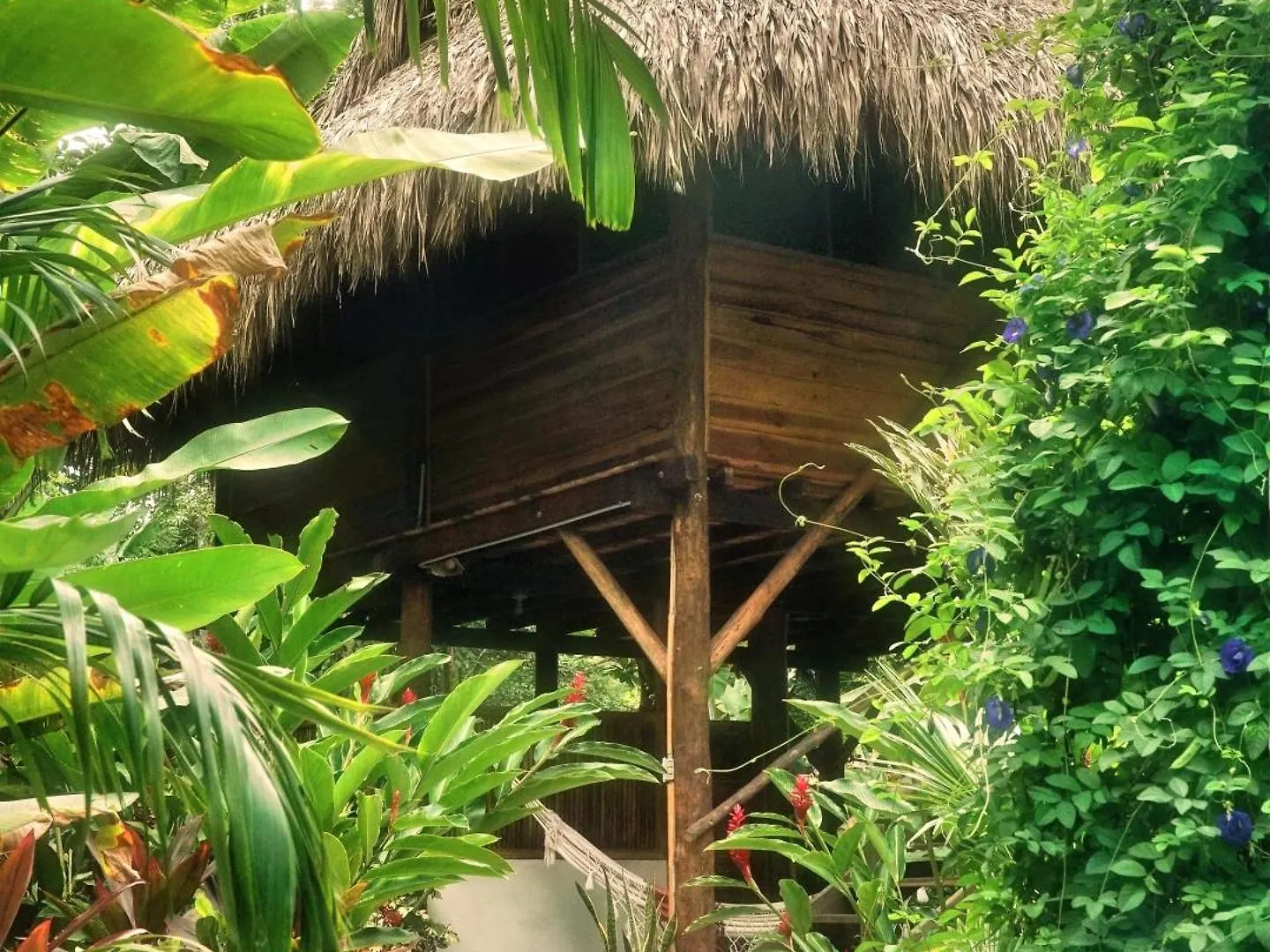 Hotel Salvia Madre Santa Marta