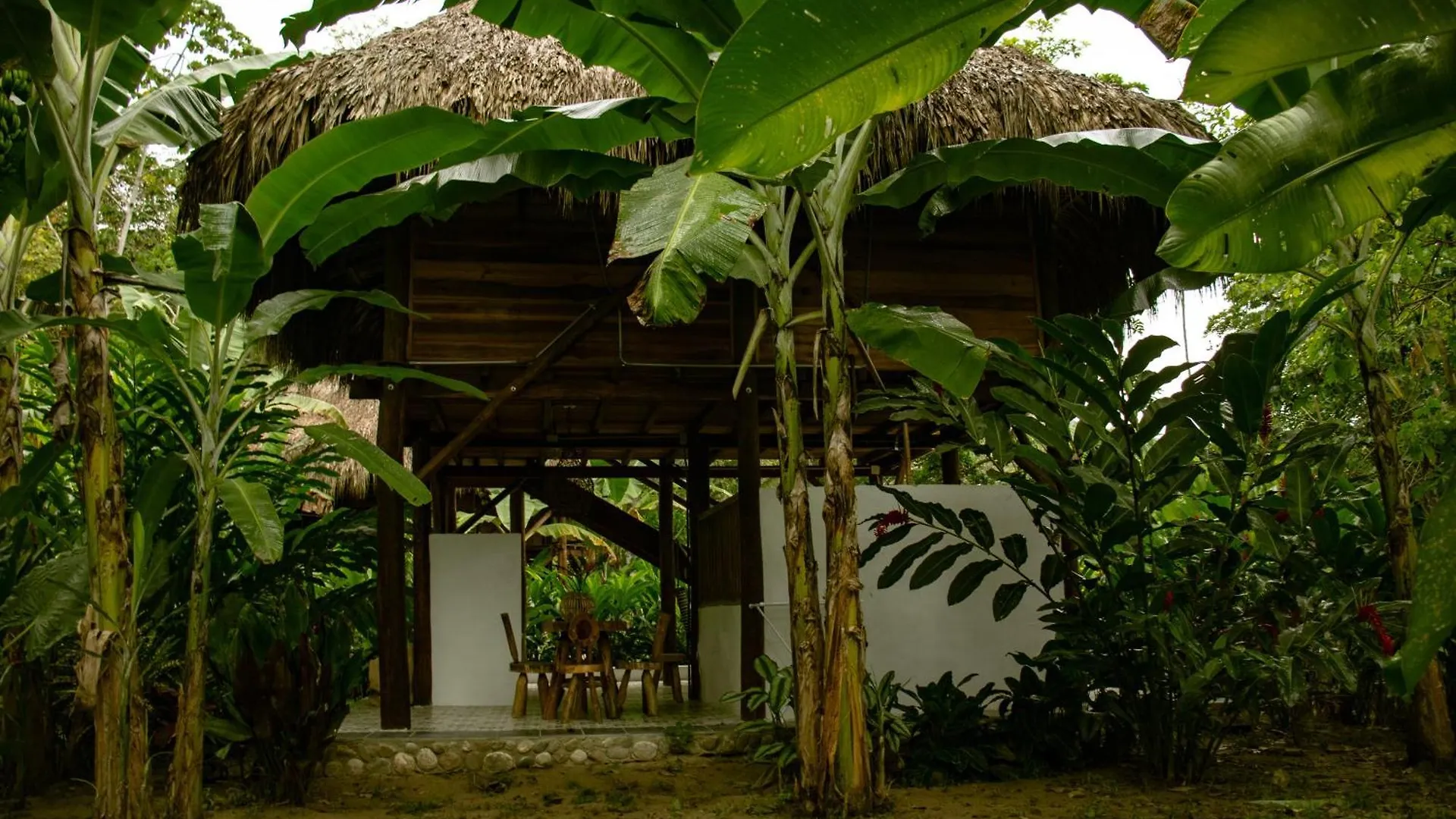 Hotel Salvia Madre Santa Marta   Santa Marta (Magdalena)