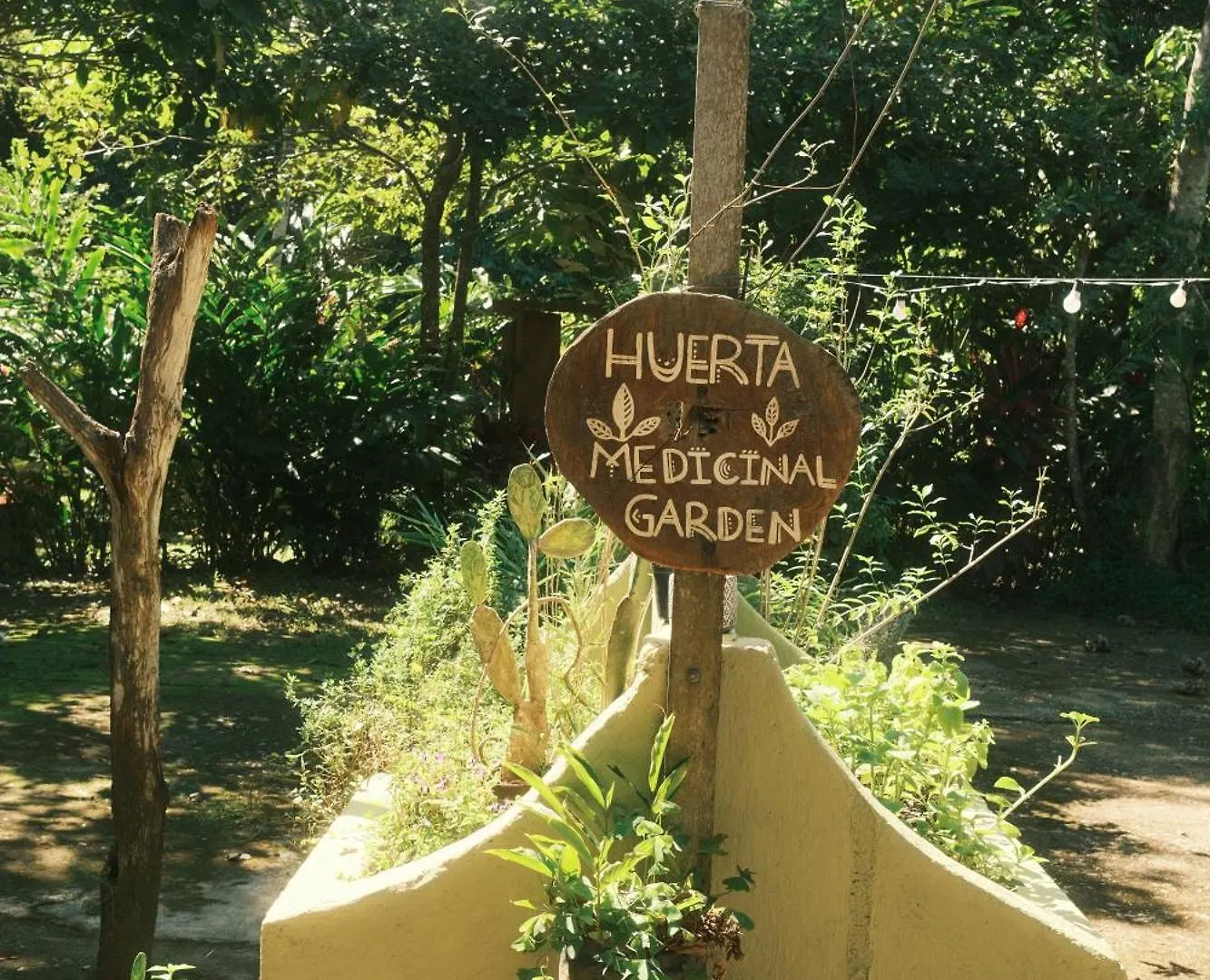 Hotel Salvia Madre Santa Marta  Colombia