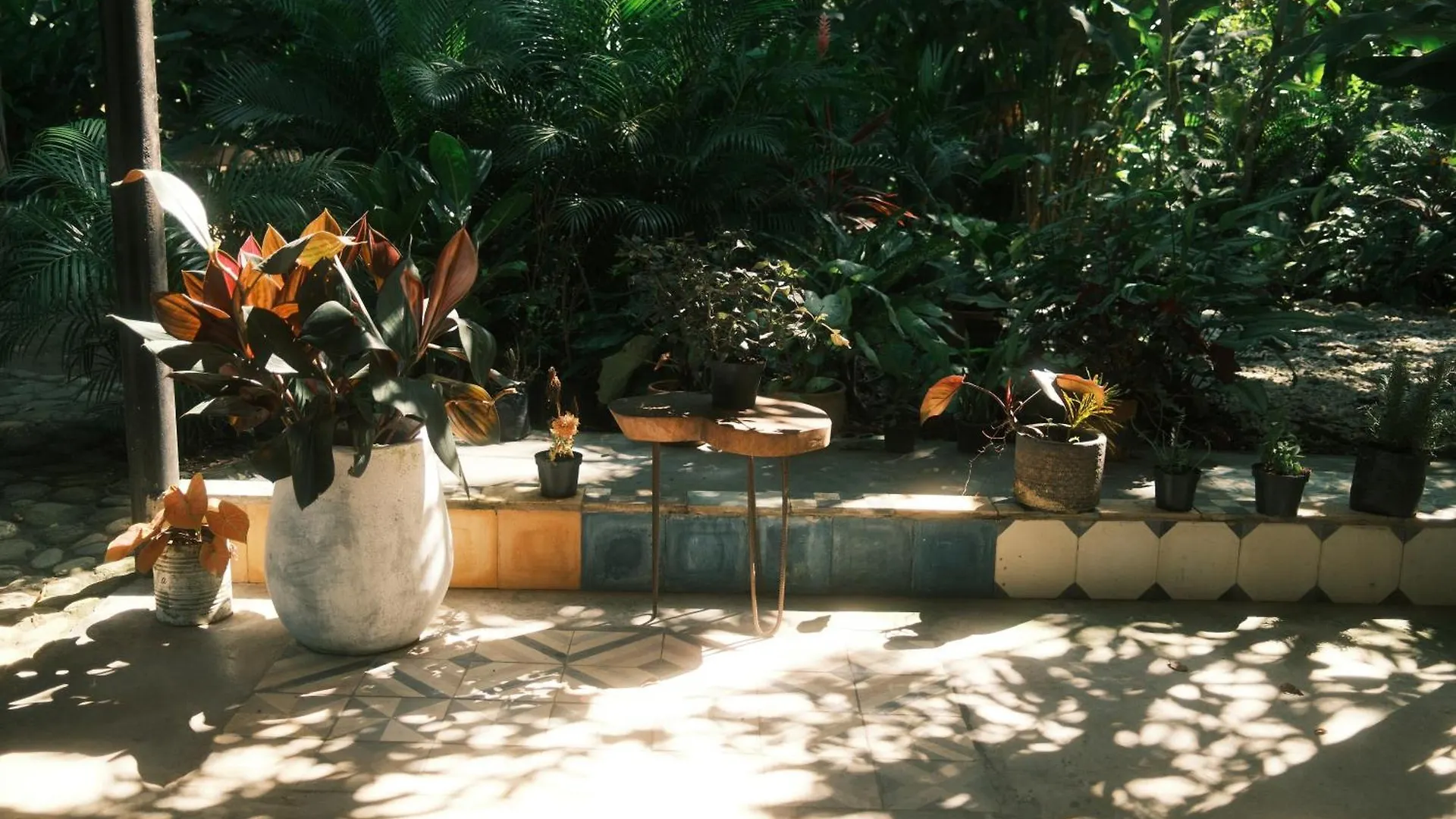 Hotel Salvia Madre Santa Marta  Santa Marta (Magdalena)